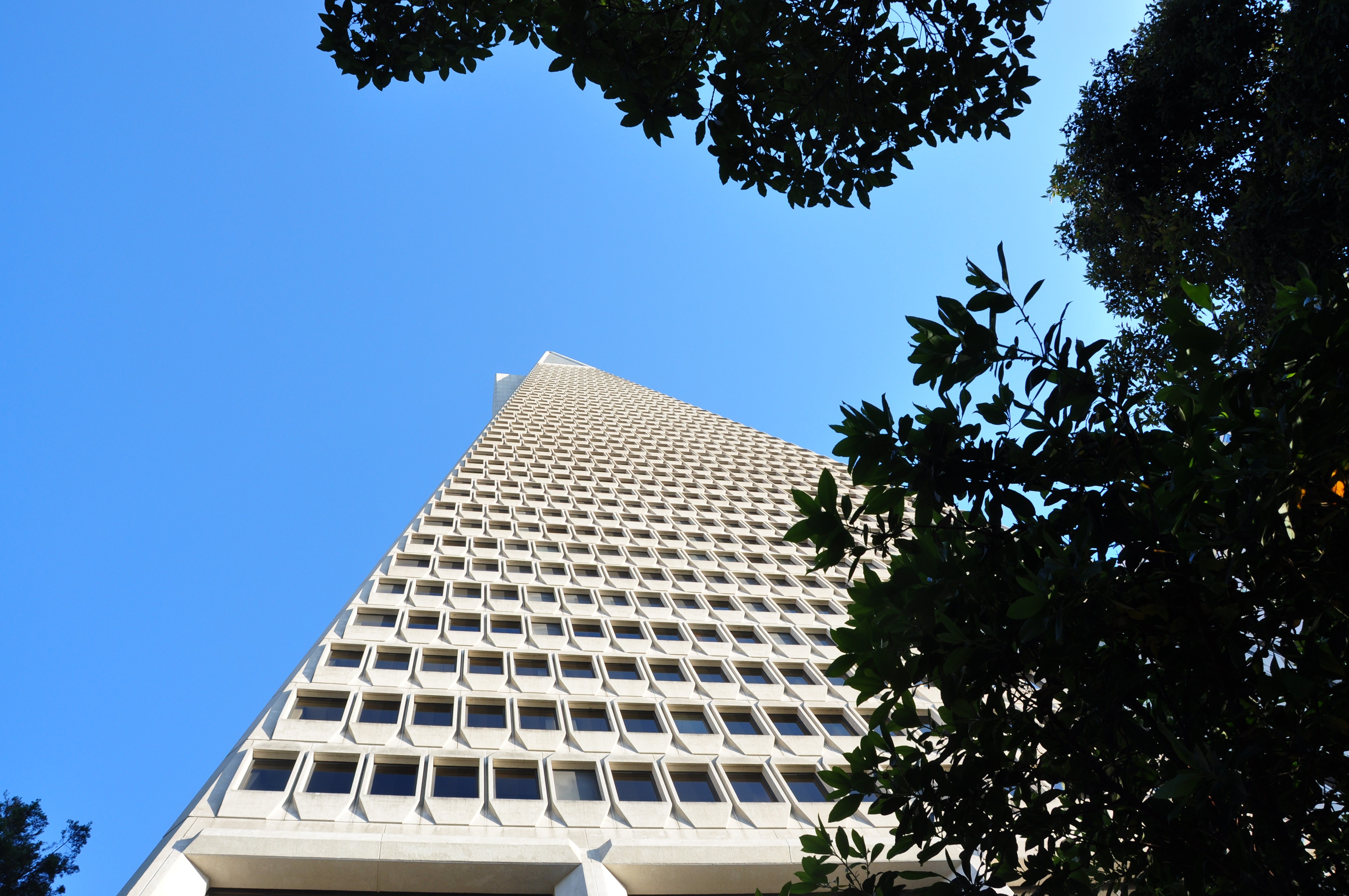 San Francisco, looking up.